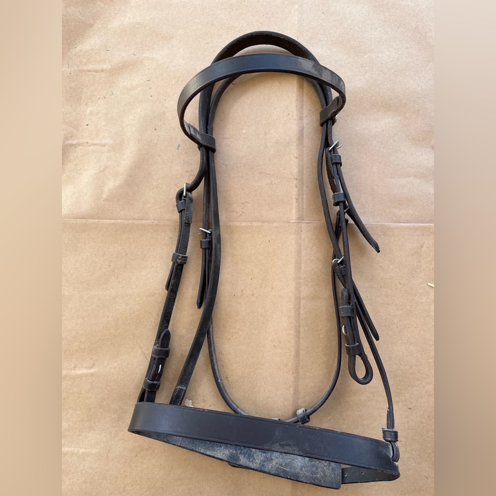 English Bridle